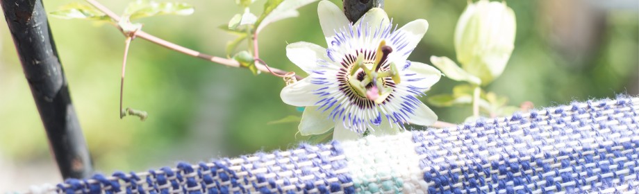 Atelier Lotte en René © atelierlotterené