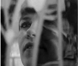 Laura ten Zeldam, glaskunstenaar © Elke Van den Ende